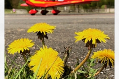 thumbs_20190510-F88155B2-840C-442F-96D9-BC561D1AEB4D